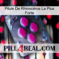 Pilule De Rhinocéros La Plus Forte 02